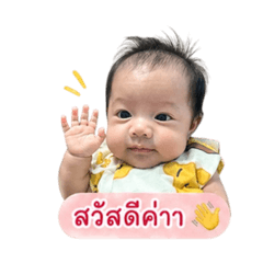 Nira_20260429034156