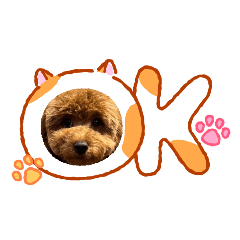 yunomarumaru_20260524095443