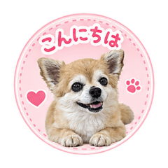 mayu_20260524095107