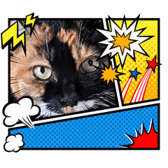 cats_rule_kaguro02