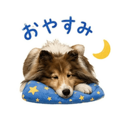 Risa_20260524115543