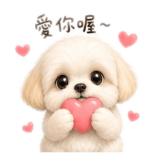 奶萌小白狗日常-妹寶
