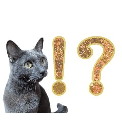 Gray Cat "Hai-chan" Cute Stickers 3