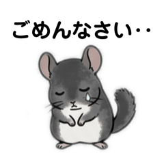 Fluffy Chinchillas Stickers