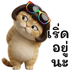 chubby-เหมียวบ๊อบกวนๆ