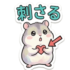 Djungarian hamster Momo-chan3