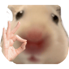R_20260524142022