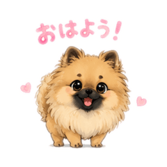 sasimi_20260524140701