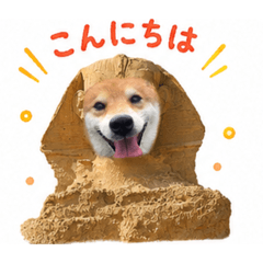 Megu_20260524143441