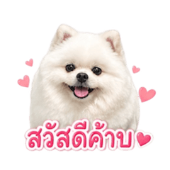 Aticha_20260429084353