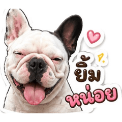 Kamonluk_20260429091041