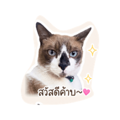Neng_20260429091251