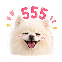 Marvel Happy Dog_20260429091133