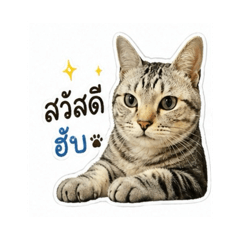 Pukun_20260429091343