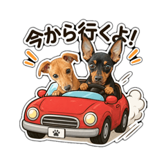 Duke_20260524152700