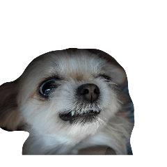 ken_20260524151505