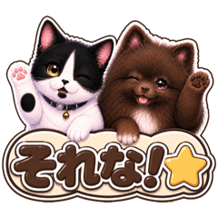 Yozora_20260524152327