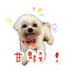 my name is Jelly3