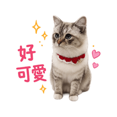 辛巴不想努力了