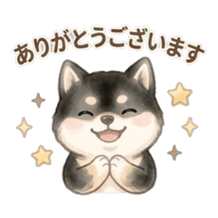 ratemaru_20260524154054