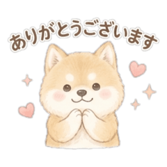 ratemaru_20260524154748