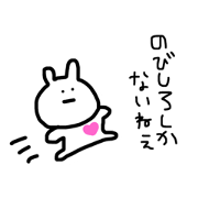 A compliment rabbit