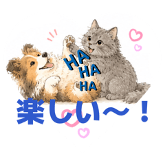 Blue Tabby Cat_20260524155725