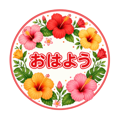 Kazumi_20260524163147