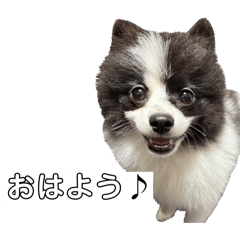 aoi_20260524164416