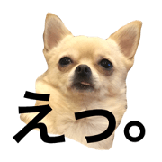 rokumi to syacho.