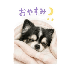 bibi_202605240409