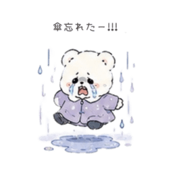 Bear (Rainy Season Edition)