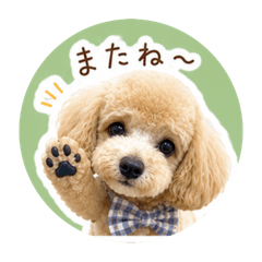 Muu_20260524175401