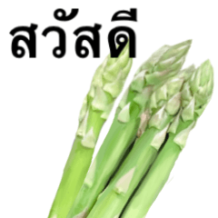 Flesh Asparagus 6