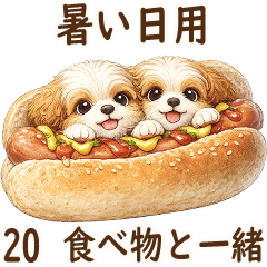3Dシーズー犬 20「暑い日用」食べ物と一緒