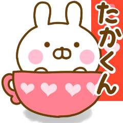 Rabbit Usahina love takakun