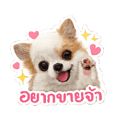 Mommy_20260429135701