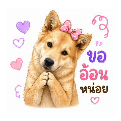Tawan_20260429130918