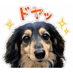 hiro_20260524193009
