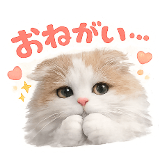 もこもこちゃん【日常】