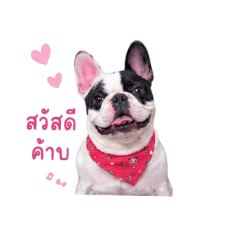 milyn_20260429131655