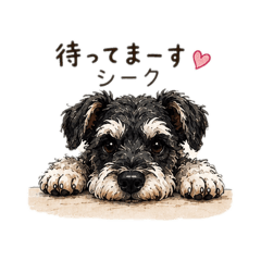 Milo_20260524200747
