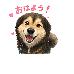 KEN_20260524202147