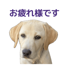 Sosuke_20260524204647