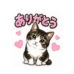 你是猫派还是狗派？