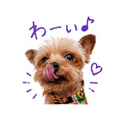 k_20260524210850