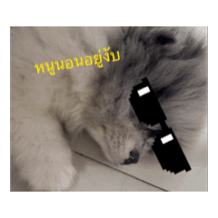 Ying_20260603152845