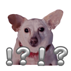 Ai_20260524211511