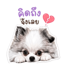 Kammika_20260429134132