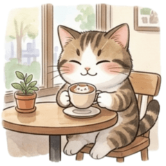 tabby cat shima cafe